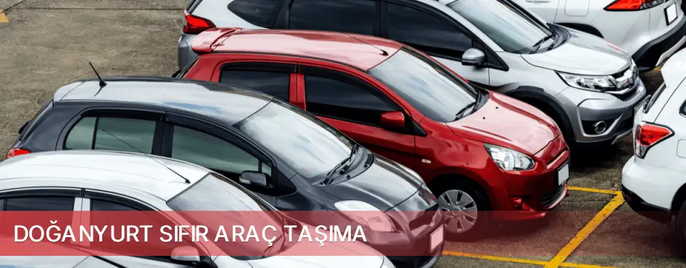 Doğanyurt İlçemi Sıfır Araç Taşıma